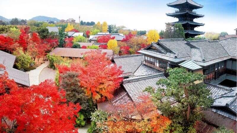 The Sodoh Higashiyama Kyotoの仕事画像1