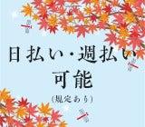 短期ドライバーの仕事画像3