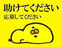 株式会社フィールドネットワーク　九州支店　＜B-195＞の仕事画像1