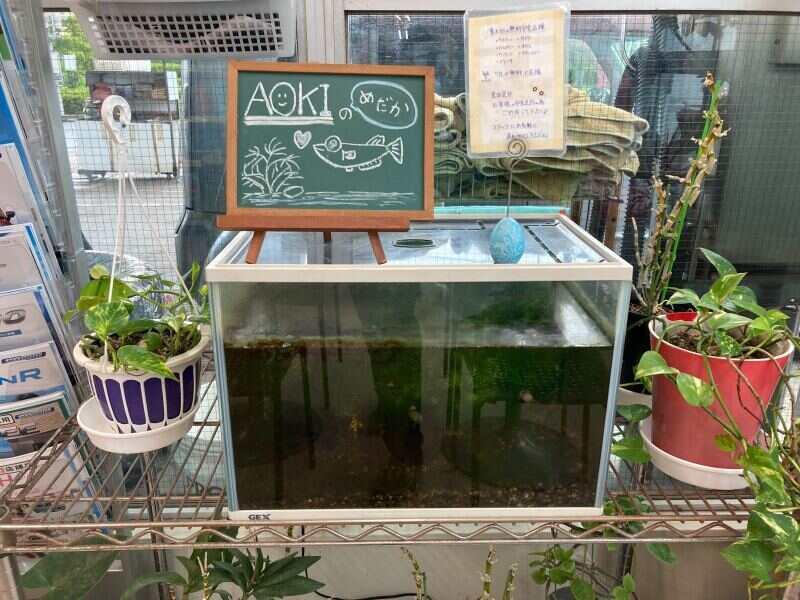 株式会社青木の仕事画像3