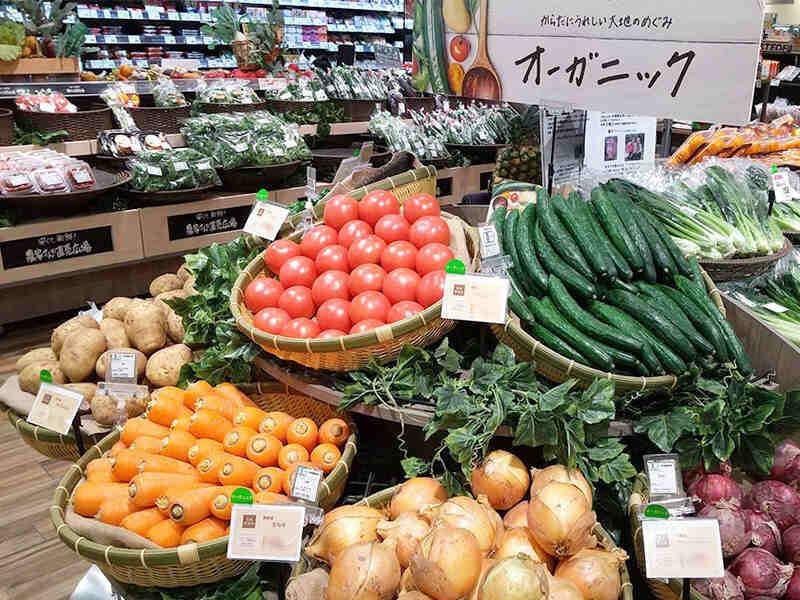 スーパーマーケット　ビオラルクオーツ心斎橋店の仕事画像3