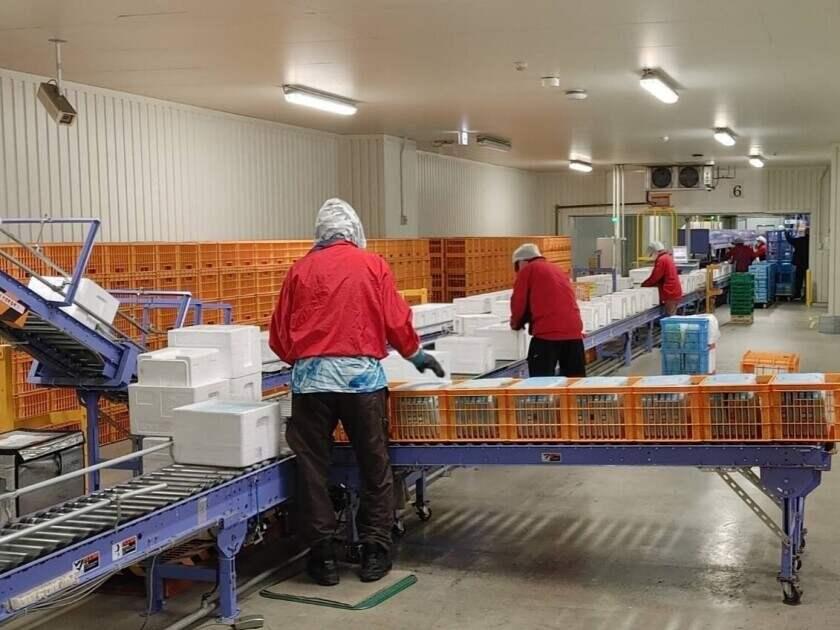 株式会社クローバーコネクトの制服4