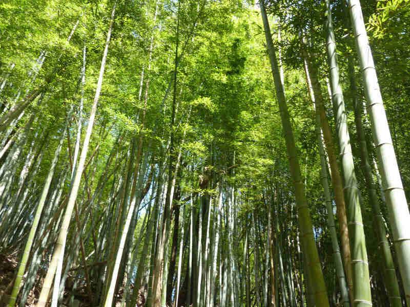 里湯昔話　雄山荘の仕事画像1