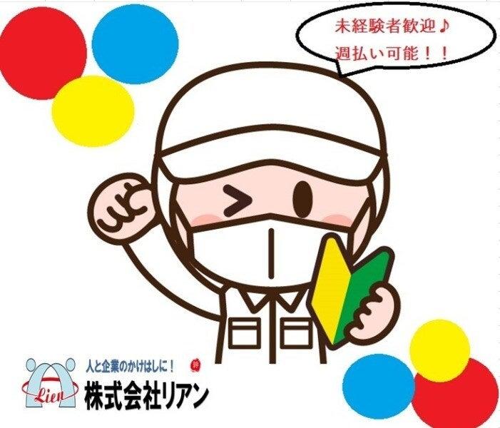 株式会社リアン 本社【001】の仕事画像1