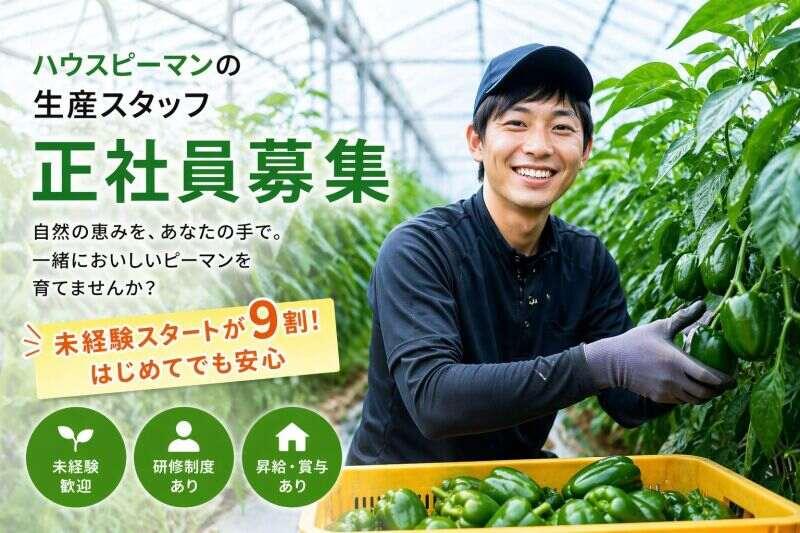 株式会社ジャパン・ビジネス・サービス 採用窓口の仕事画像1