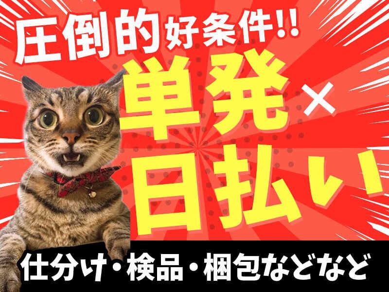 株式会社ビート　熊本支店の仕事画像1
