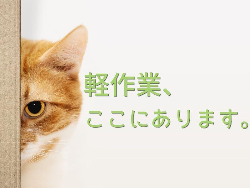 ジョブフィール採用係の仕事画像1