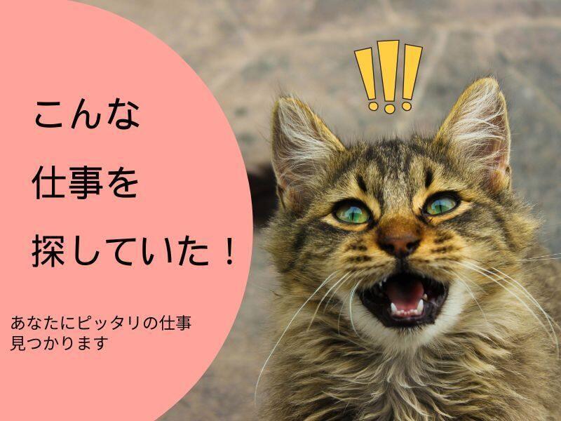 ジョブフィール採用係の仕事画像1
