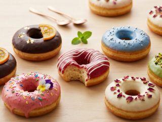 株式会社ディンプル　大阪オフィスの仕事画像1