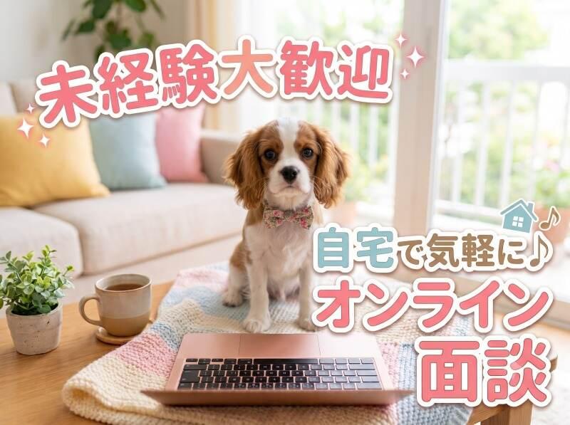 株式会社ディンプルの仕事画像2