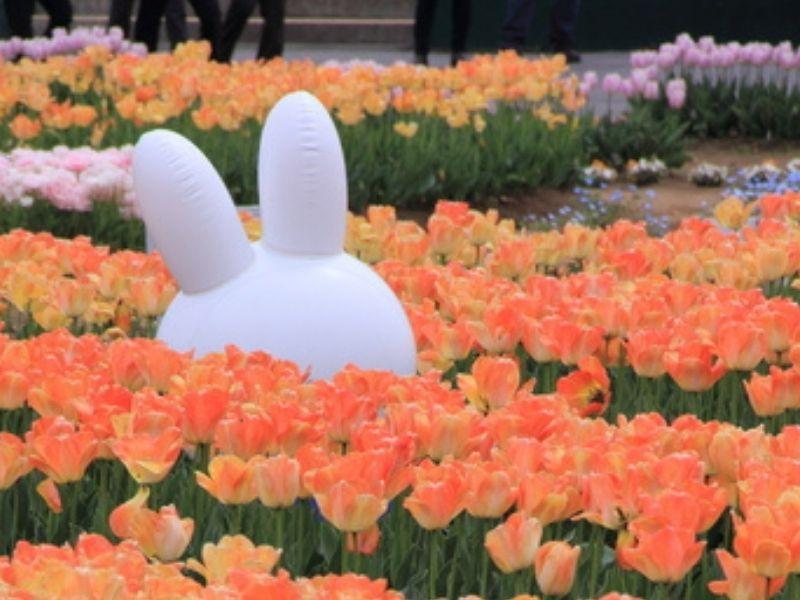 株式会社ディンプル（ワールドホールディングスグループ）の仕事画像1