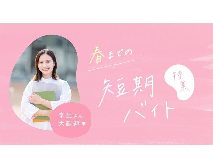 株式会社ディンプル札幌営業所（WEB登録面談実施中）の仕事画像1