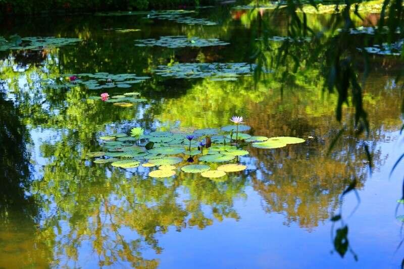 株式会社ディンプル（短期・イベントスタッフ採用強化中！）の仕事画像1