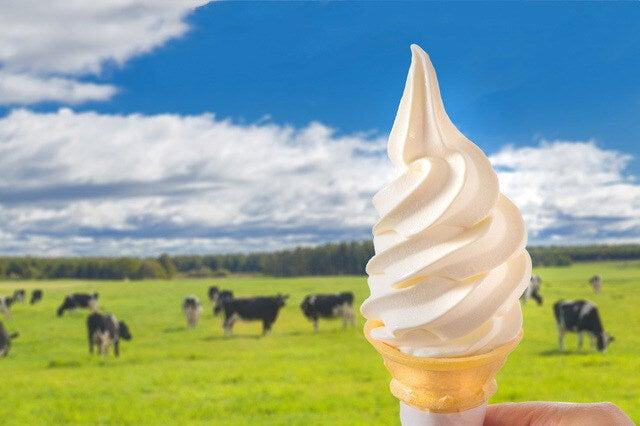 株式会社ディンプル（ワールドホールディングスグループ）の仕事画像1