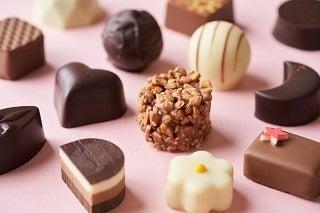 株式会社ディンプル（ワールドホールディングスグループ）の仕事画像3