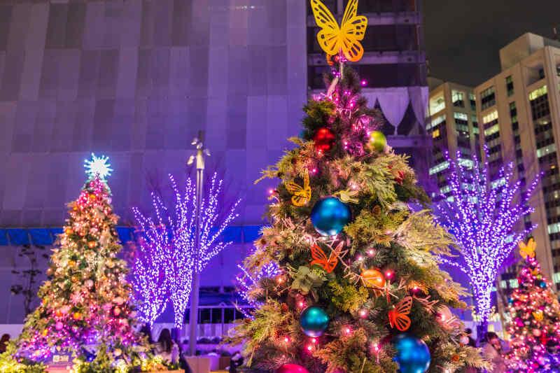 株式会社ディンプル東京営業所（WEB登録面談実施中）の仕事画像3