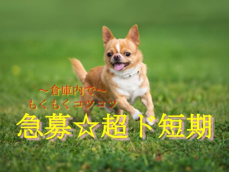 NXキャリアロード株式会社 福岡支店の仕事画像1