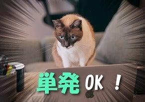 NXキャリアロード株式会社　大阪支店の仕事画像1