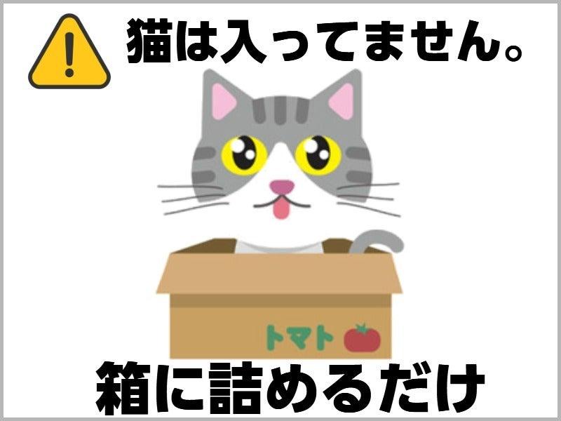 株式会社ファインドオン　採用窓口の仕事画像1