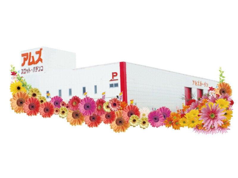 アムズガーデン　泡瀬店　（株式会社ファクト）の仕事画像3