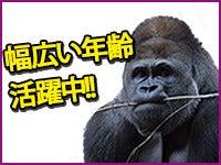 株式会社ジョブクリエイトの仕事画像2