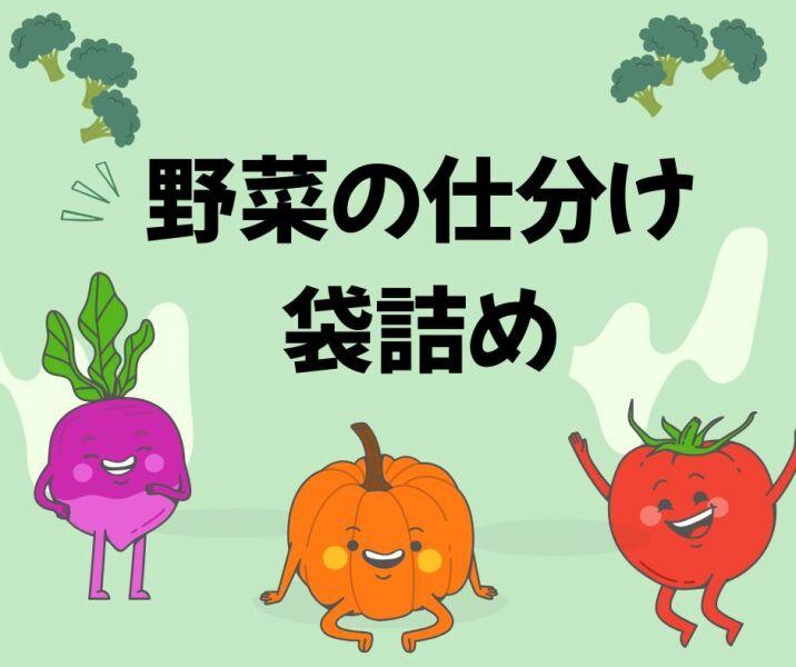 株式会社ジョブクリエイトの仕事画像1