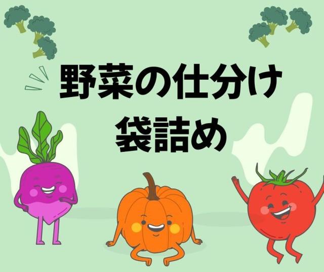 週3日からOK！青果品のピッキングや仕分けのかんたん軽作業(軽作業・物流、茨木市)のイメージ画像