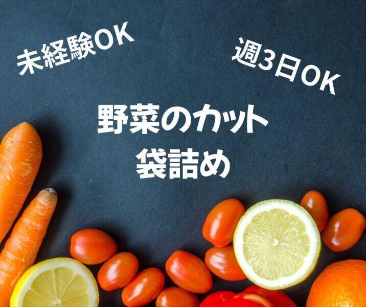 株式会社ジョブクリエイトの仕事画像1