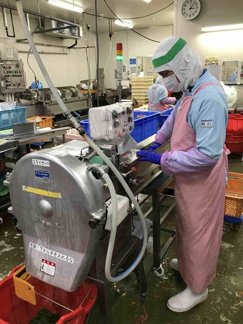 株式会社セトデリカ（野菜加工）の制服2