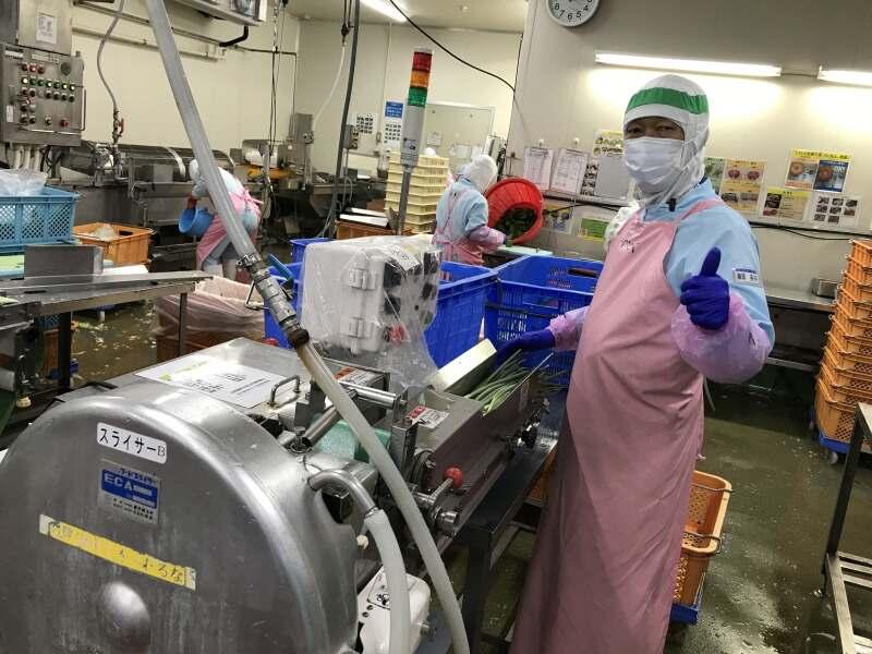 株式会社セトデリカ（野菜加工）の仕事画像2