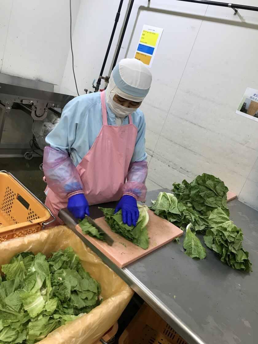 株式会社セトデリカ（野菜加工）の制服3