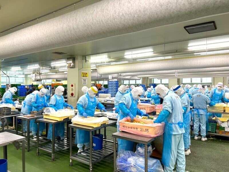 デリア食品株式会社　中部事業部の仕事画像2