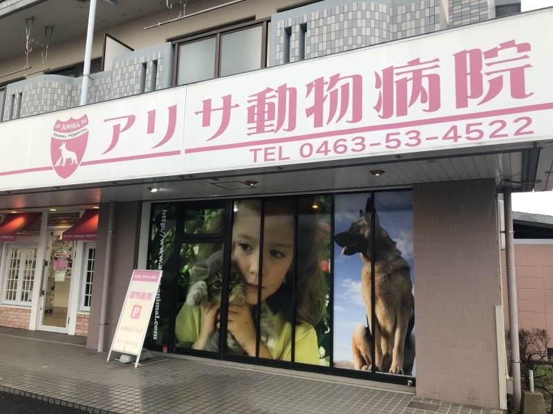 アリサ動物病院の仕事画像3