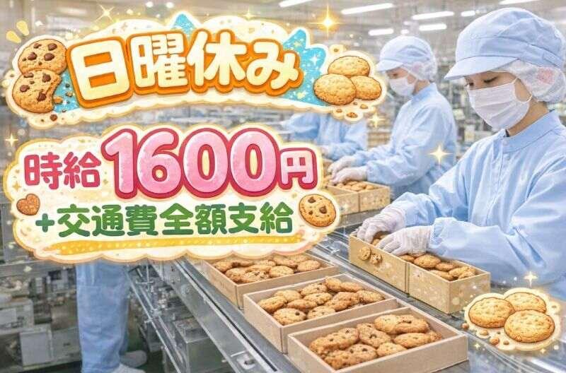 株式会社カインズサービス 本社【A】の仕事画像1