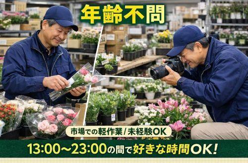 株式会社カインズサービス 本社【A】の仕事画像1