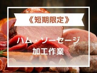 株式会社エンクルーの仕事画像1