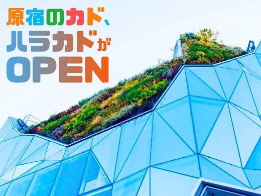 株式会社エルスタットの仕事画像3