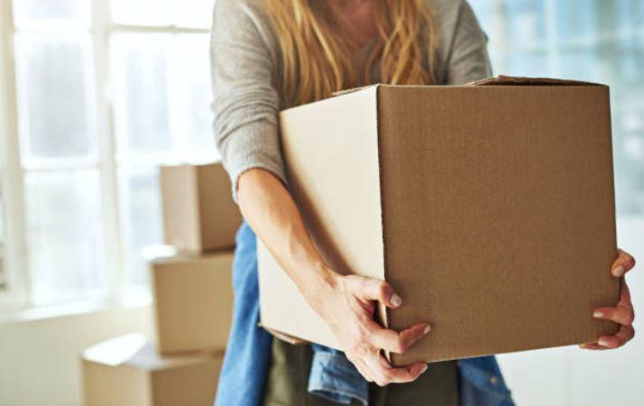 株式会社エルスタットの仕事画像3