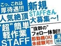 株式会社LESの仕事画像1