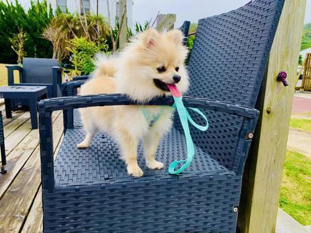 ASANO GROUP ホテル・ブライダル【採用窓口】の仕事画像1