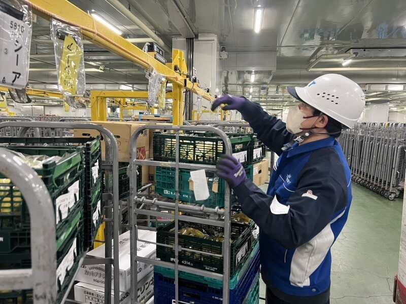 兵庫トランスポート株式会社 鳴尾浜営業所の仕事画像2