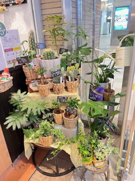 フルラージュアン　大宮店の仕事画像2