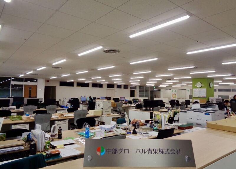 中部グローバル青果株式会社の仕事画像3