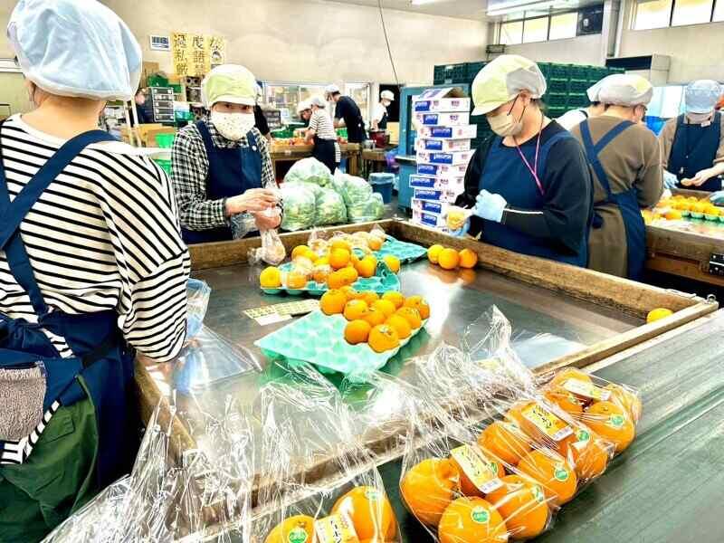 中部グローバル青果株式会社の仕事画像1