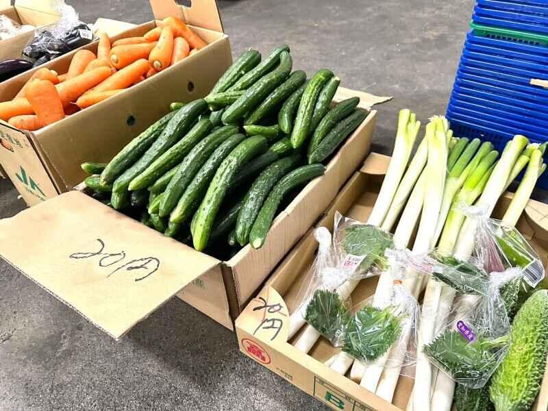 中部グローバル青果株式会社の仕事画像3