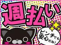 ゆとりの夕方からの勤務です♪運転好きな方にピッタリなお仕事◎の仕事画像2