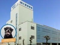 株式会社大阪西物流 本社営業所の仕事画像1