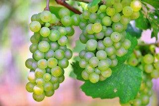 株式会社センチュリーアンドカンパニー 東日本第1営業部の仕事画像1