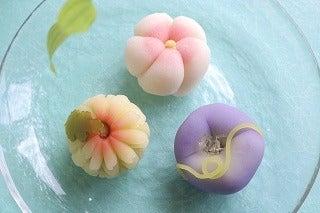 株式会社センチュリーアンドカンパニー 九州担当の仕事画像1