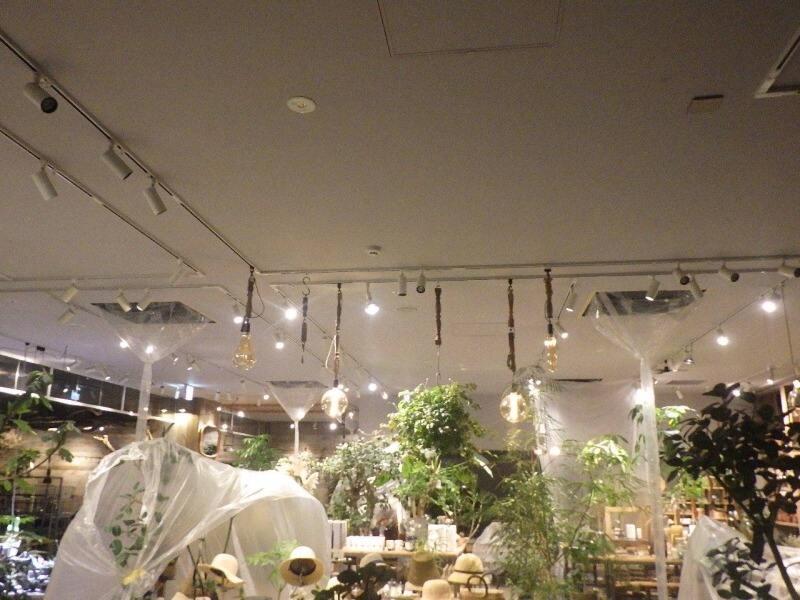 株式会社フィスイノベーションの仕事画像3